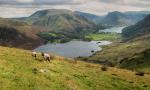 Crummock Water