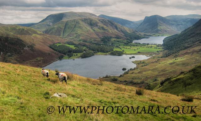 Crummock Water