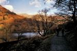 Walking by Esthwaite Water