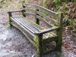 Moss bench